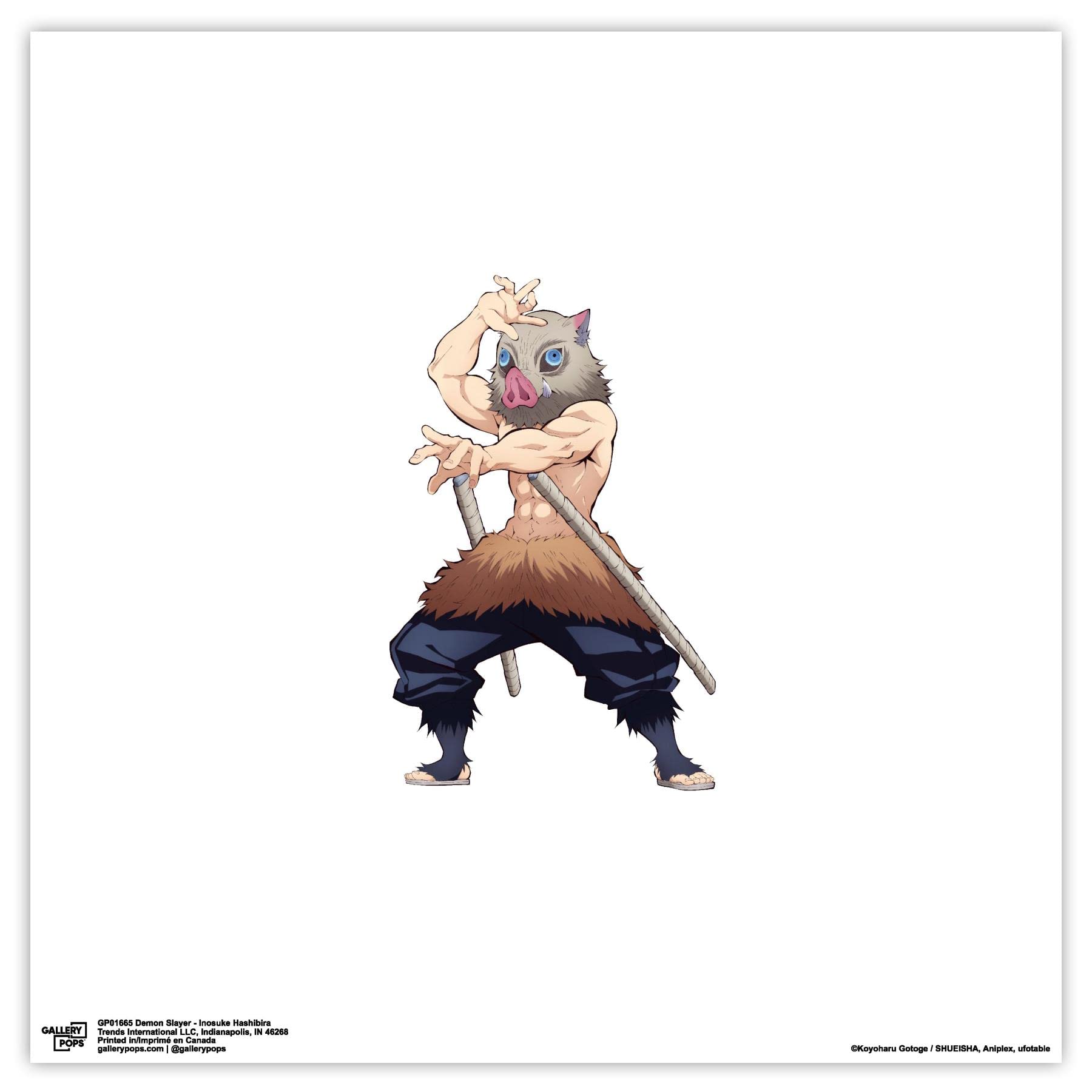 Amazon.com: Trends International Gallery Pops Demon Slayer