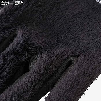 Amazon | [ザノースフェイス] バーサロフトイーチップグローブ