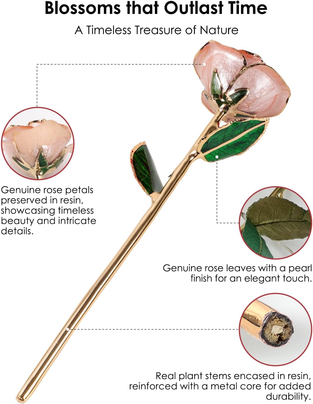 24K Gold Dipped Real Rose – Handpicked Real Rose Preserved in 24K Gold – Sweet, One-of-a-Kind Romantic Gift for Her – Ideal for Birthday, Anniversary, Mother’s Day, Valentine’s Day (Pink) - Image 3