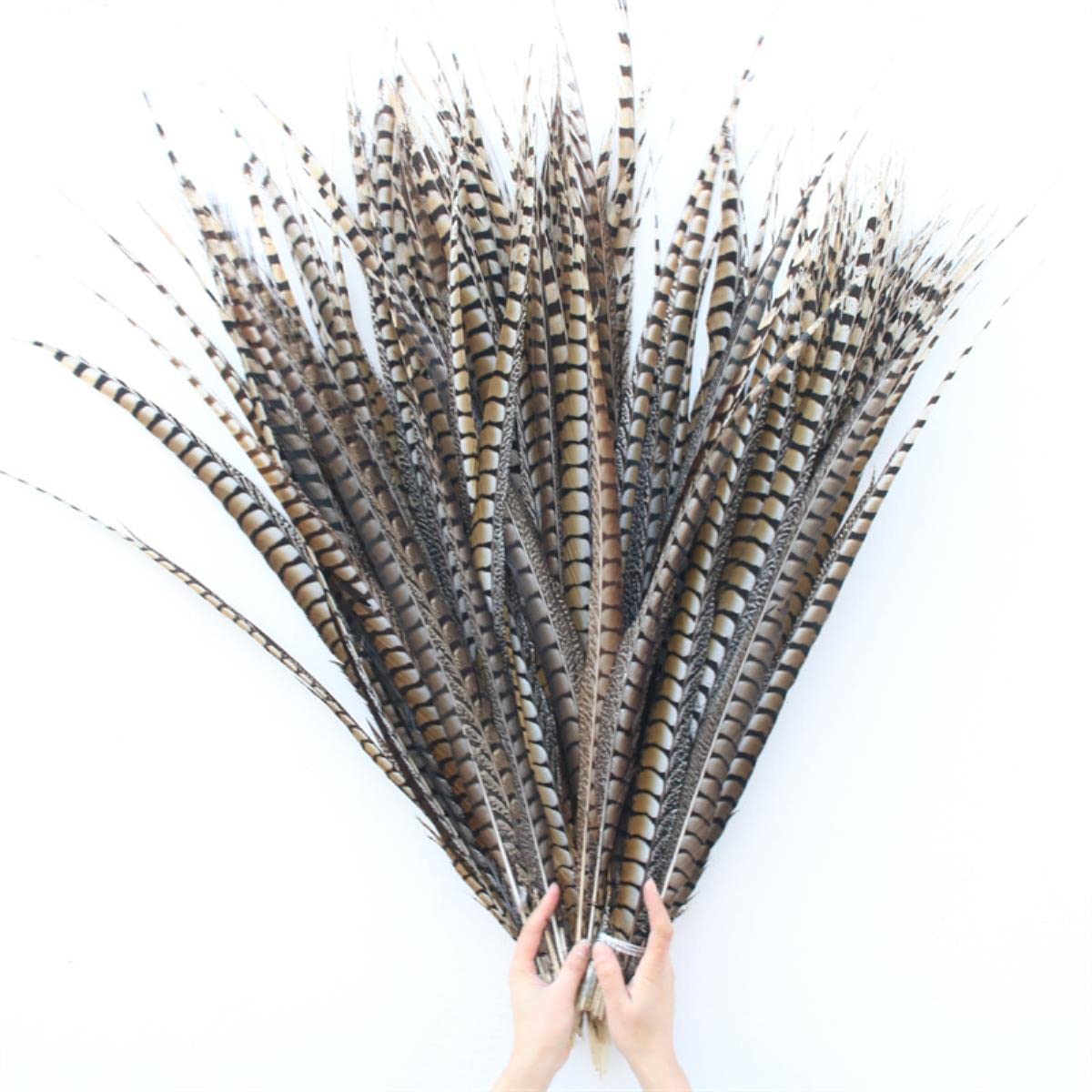 Plumes de faisan pour l'artisanat 50-60cm accessoires bricolage et art déco