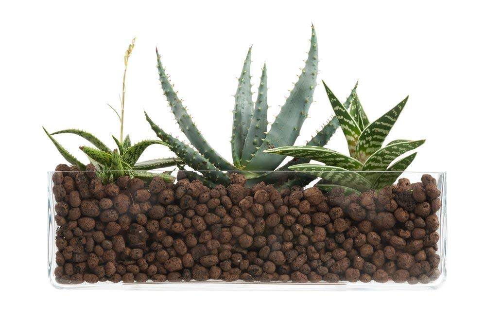 ARGILLA ESPANSA DA 10 LT PER PIANTE DRENAGGIO ACQUA GIARDINAGGIO ISOLAMENTO GRANULI DI ARGILLA (2)