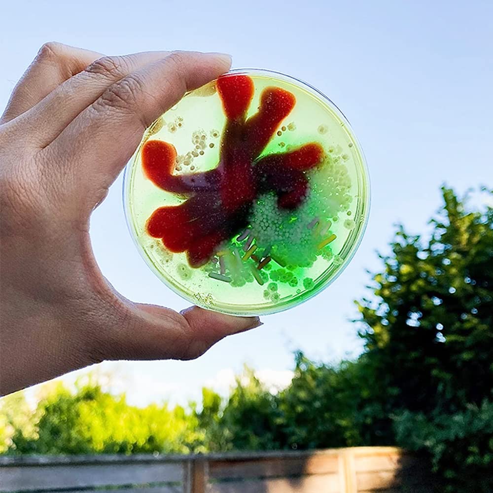 10 Piastre Petri Sterili 90mm - Plastica Trasparente Per Laboratorio E Colture