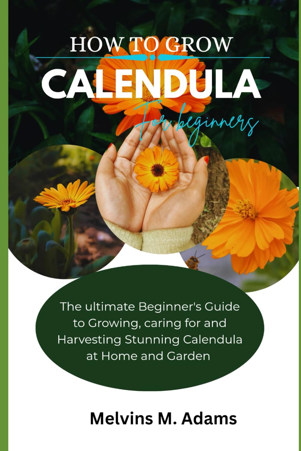 How to grow Calendula flower for beginners: The Ultimate Beginner’s Guide to Growing, Caring for, and Harvesting Stunning Calendula at Home and garden