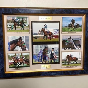 2018年　有馬記念　ブラストワンピース　優勝パネル 2018年 有馬記念（GⅠ） | ブラストワンピース | JRA公式 - YouTube