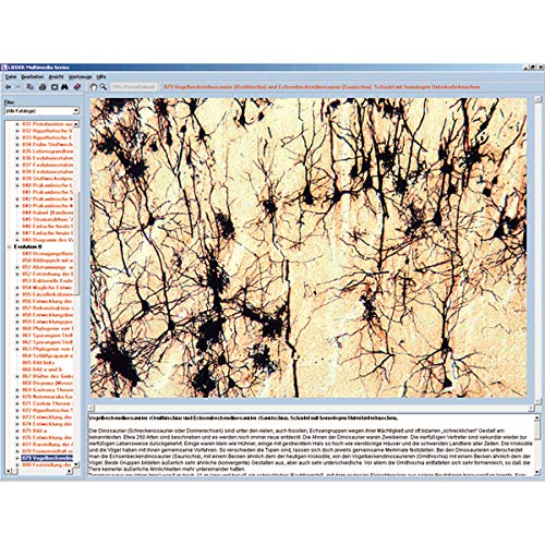 Sistema nervoso e trasmissione delle informazioni Parte II, CD-ROM interattivo