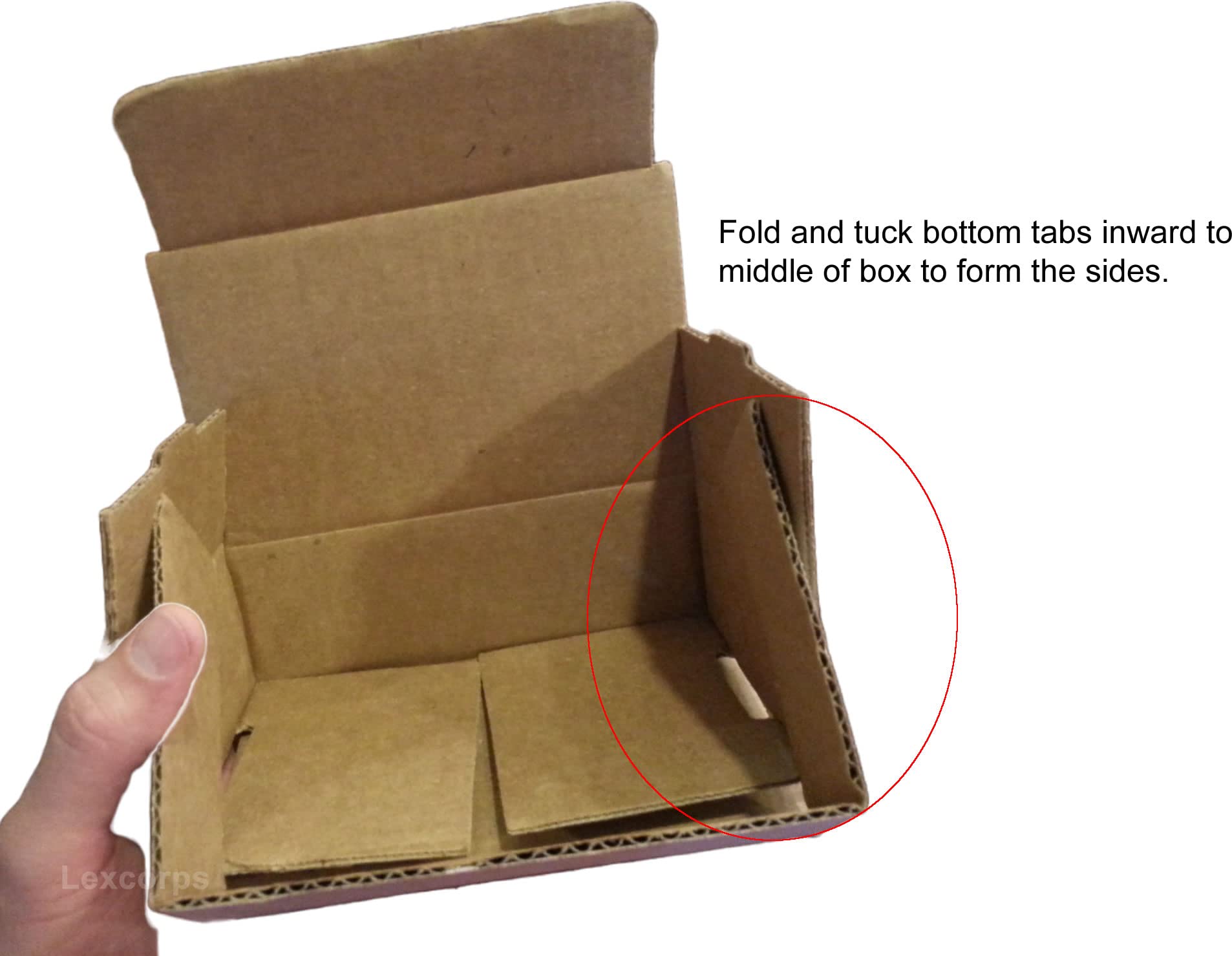 https://m.media-amazon.com/images/I/61-p41rRmLL.jpg