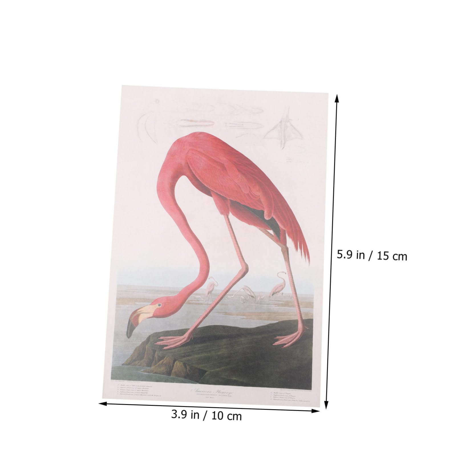 HOMSFOU Scrapbooking Hintergrundpapier Leicht zu Schneiden und Dekorieren 70 Blatt Papier zum Basteln mit Muster für Selbstgemacht und Scrapbook Projekte