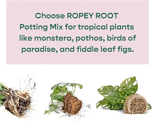 Miniatura 5 de Southside Plants Trail Mix - Suelo grueso para plantas de interior tropicales mezcla orgánica de cáscara de coco carbón perlita y roca de río alta