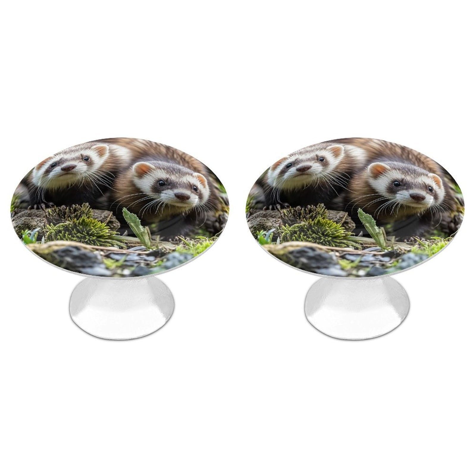 FekiLoot Round Cabinet Knob 2 Pack Kitchen Drawer Knobs Stainless Steel Round Drawer Pulls Modern Cabinet Hardware Ferrets Drawer Hardware for Dresser Closet Door Knobs