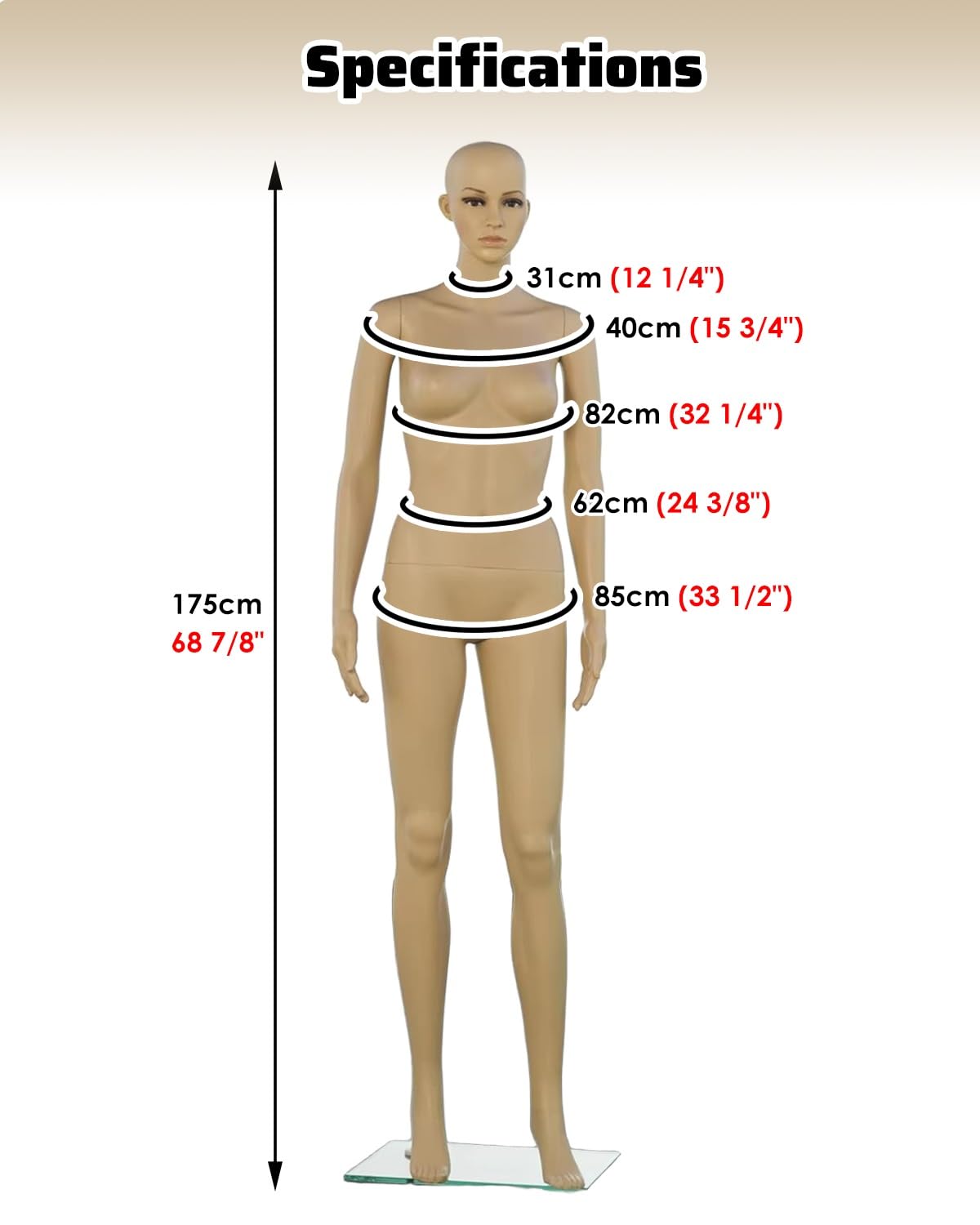 Generisch Mannequin, bewegliche weibliche Schaufensterpuppe für die Kleiderpräsentation, Abnehmbarer Oberkörper und Kopf, ideal für Geschäfte, Verkaufsveranstaltungen und Schulungen (Deep Coffee)