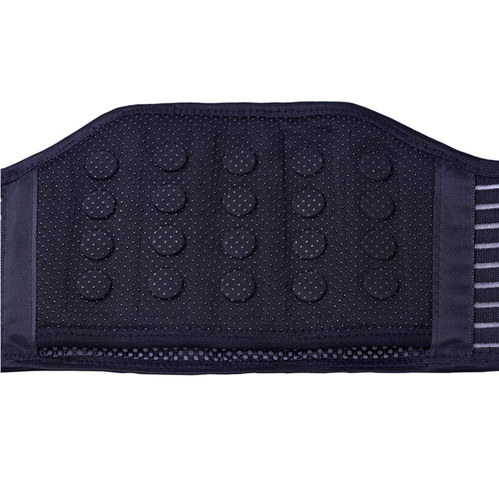 Lumbar Brace Belt Soporte de Espalda Inferior para Mujeres Hombres Hernia de Disco Ciática Escoliosis Cintura y Abdomen Calentamiento Alivio del Dolor (Size : L)
