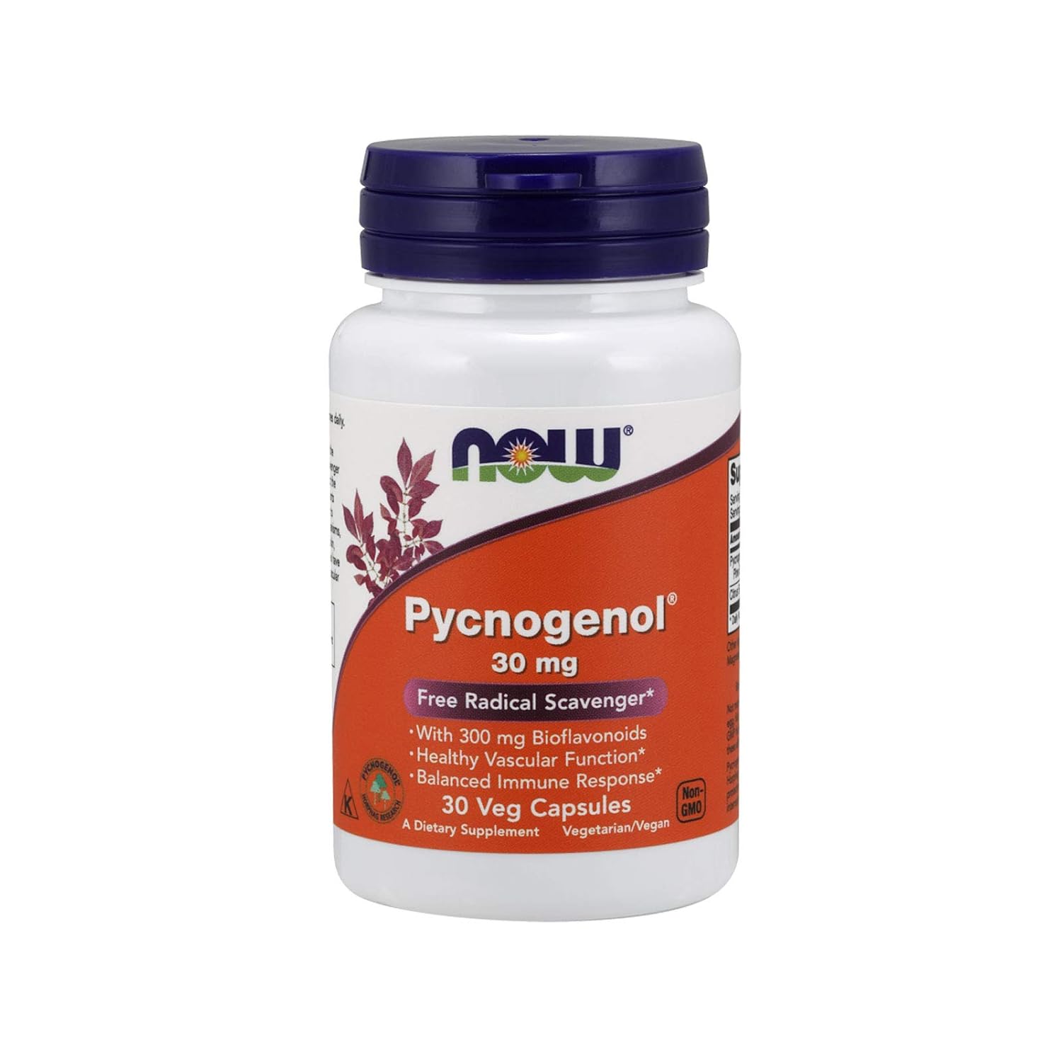NOW Foods, PYCNOGENOL 30mg 30 CAPS Amazon.in Health & Personal Care