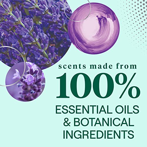 Seventh Generation Hand Dish Wash Refill, Lavender Floral & Mint, 3Pk 50Z #TOP2