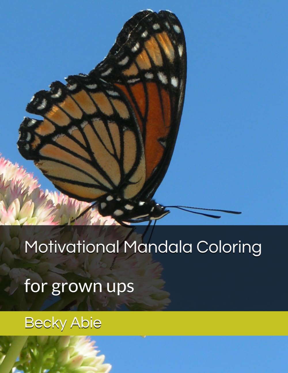 Motivational Mandala Coloring: for grown ups