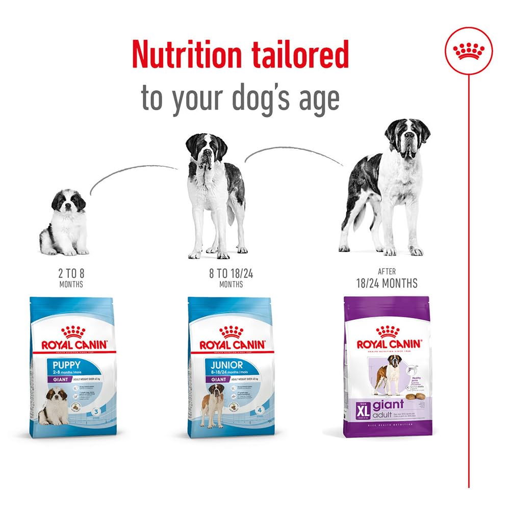 Royal Canin Giant Adult Karma dla Psa, 15 kg
