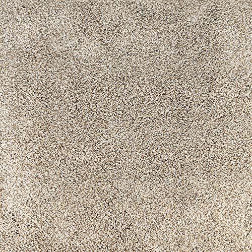 Peak Performance Peel And Stick Carpet Tiles, Attached Cushion, Easy Diy Install, Soft Carpet, American Made, Seamless Appearance, Plush, Great For Area Rug (10 Tiles - 22.5 Square Feet, Everest) #TOP7