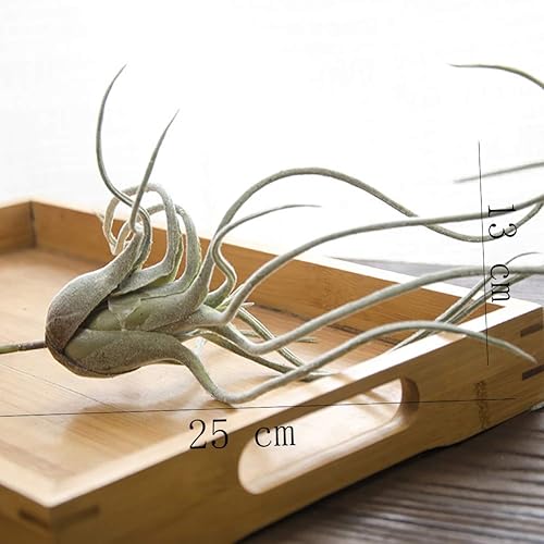 Miniatura 2 de ChezMax Plantas de aire Tillandsia flocadas artificiales, hierba de piña, suculentas sintéticas, bromelias, decoración de jardín para el hogar, 2