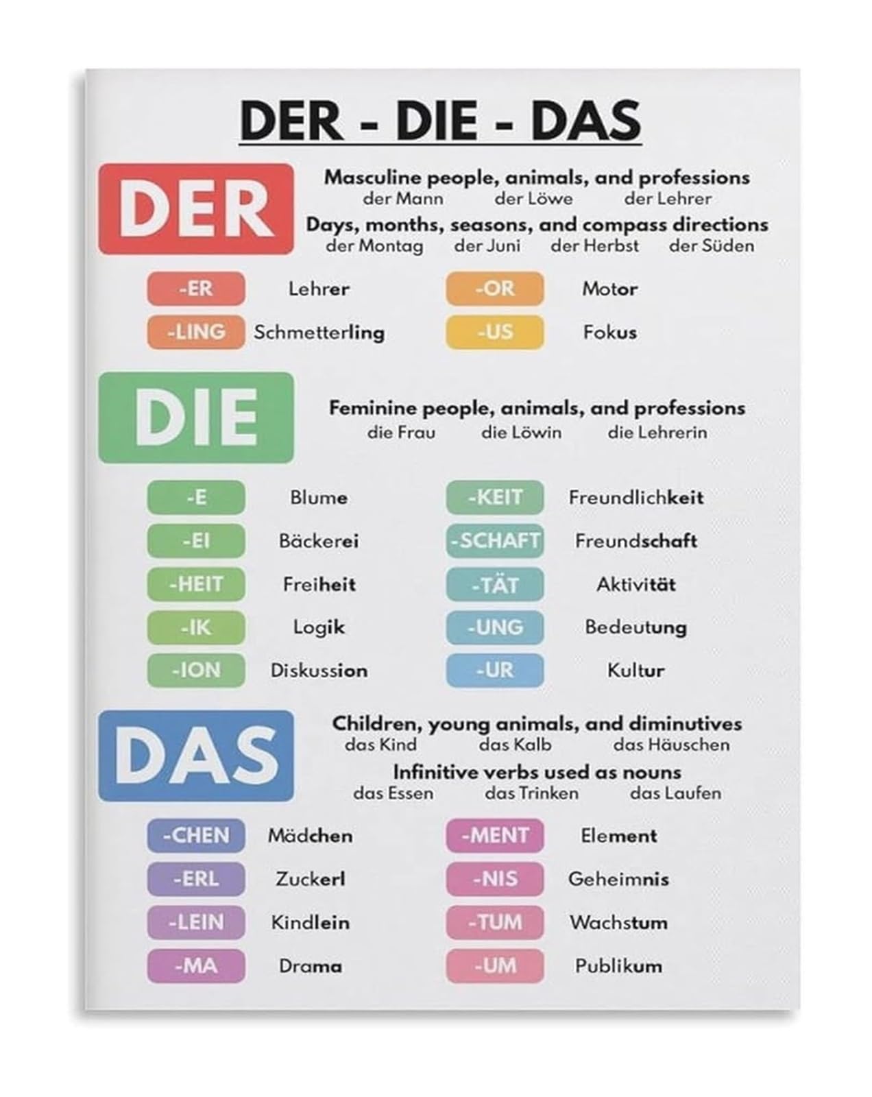 IDGTTLDF Definite Articles Chart Der Die Das Educational Grammar Poster for Classroom Language Learning Wall Decor Unframed,08x12inch(20x30cm)