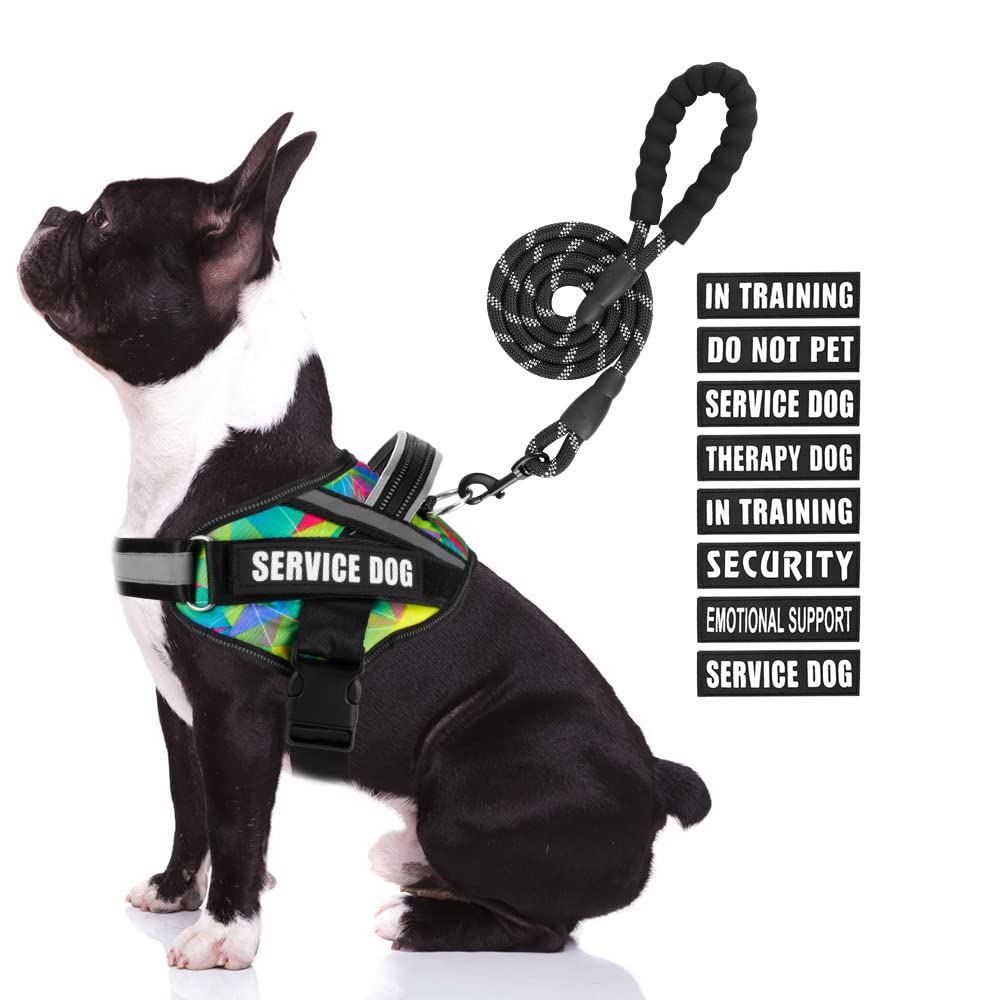 Service Dog Vest Harness and Leash Set, Animire in Training Dog Harness with 10 Dog Patches, Reflective Dog Leash with Soft Handle for Small, Medium, Large, and Extra-Large Dogs (Multi-Colored,M)