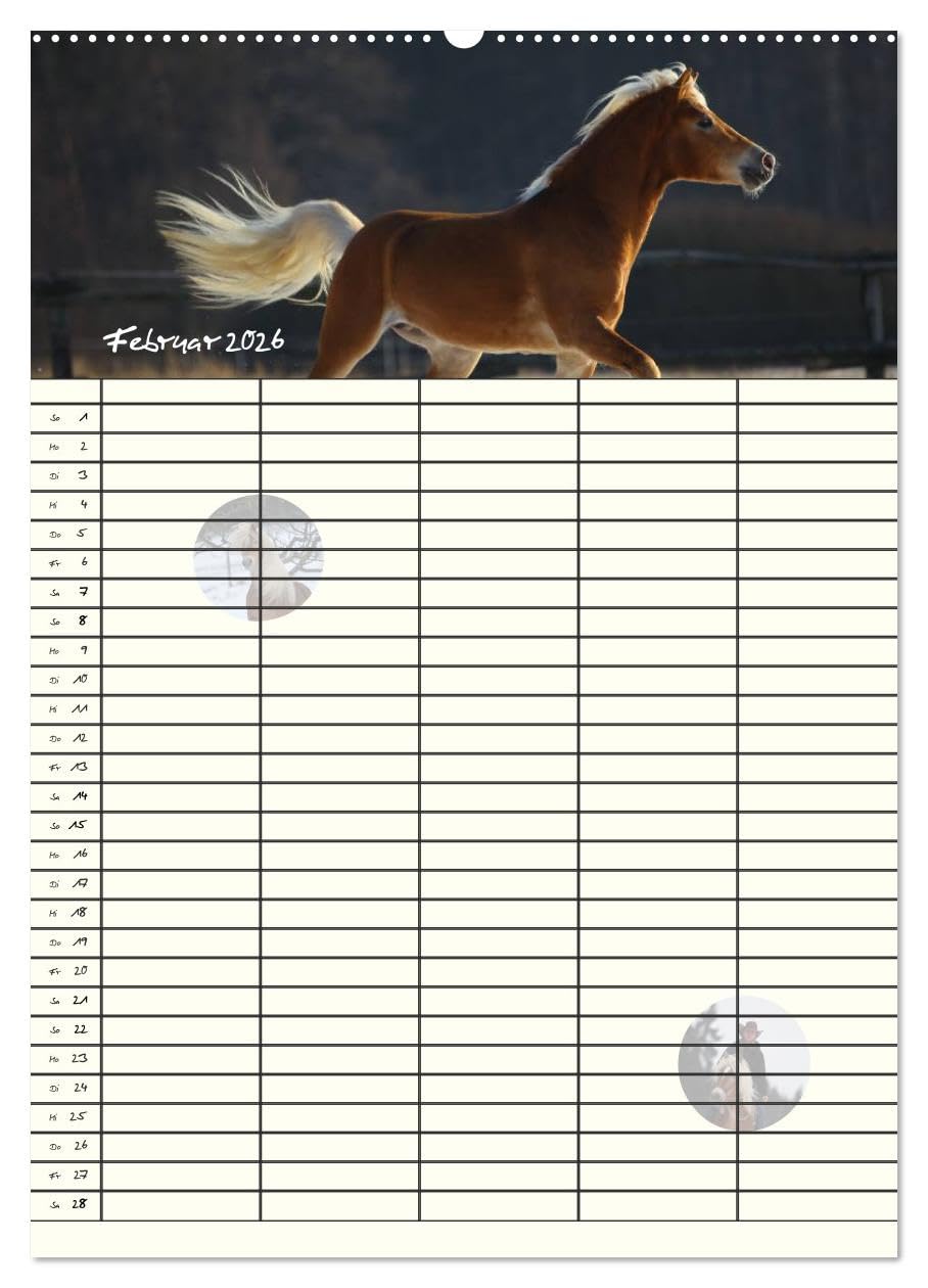 Haflinger Pferde - Stall- und Familienplaner 2026 (hochwertiger Premium Wandkalender 2026 DIN A2 hoch), Kunstdruck in Hochglanz: Stallplaner und ... Blick mit Haflinger Pferden (CALVENDO Tiere)