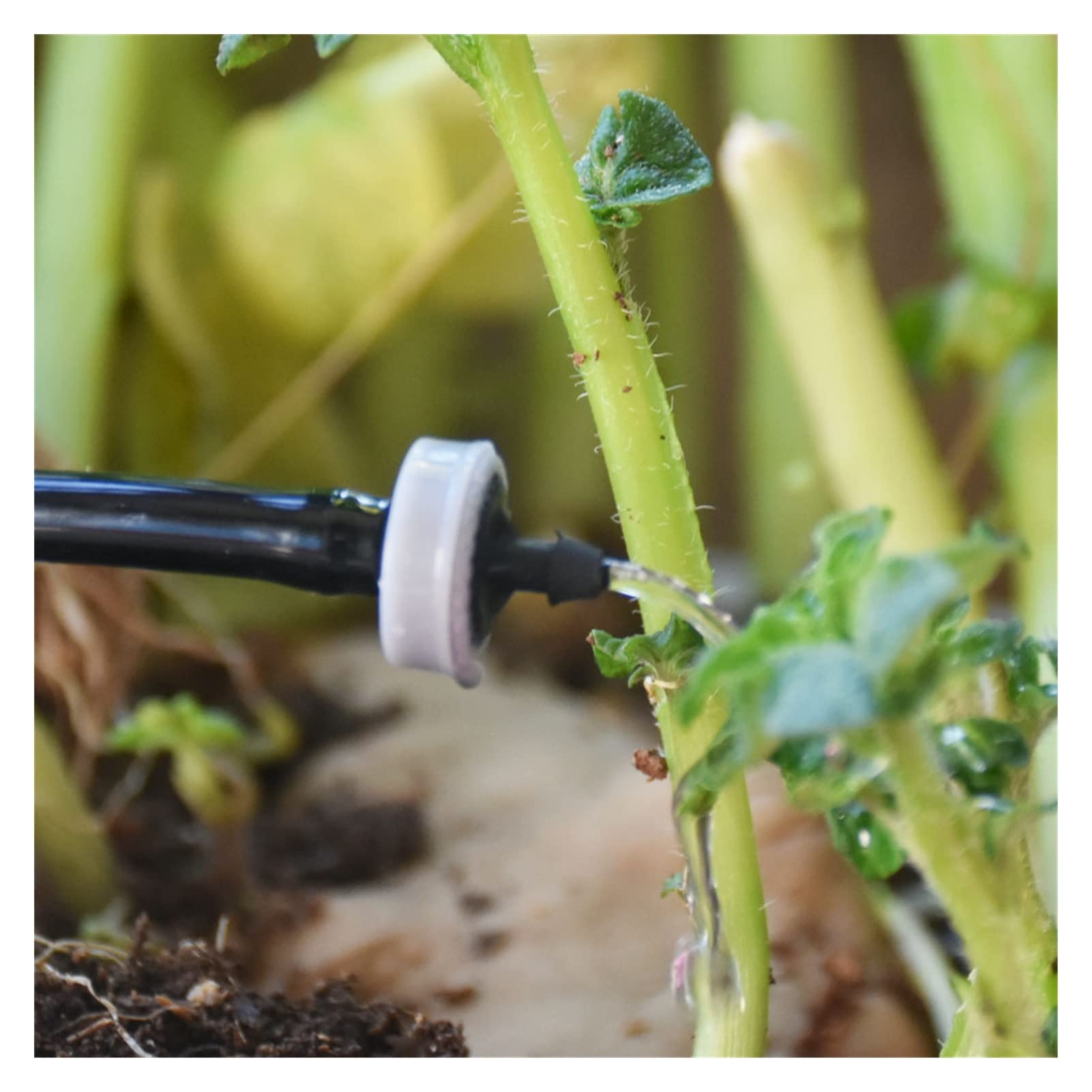 Serra Micro irrigazione a Goccia 500-200 Pezzi 2L 4L 8L. Compensazione della Pressione Dripper Automatic Drip Regolatore di irrigazione Giardino Annaffiatura Trasmettitore di Flusso costante