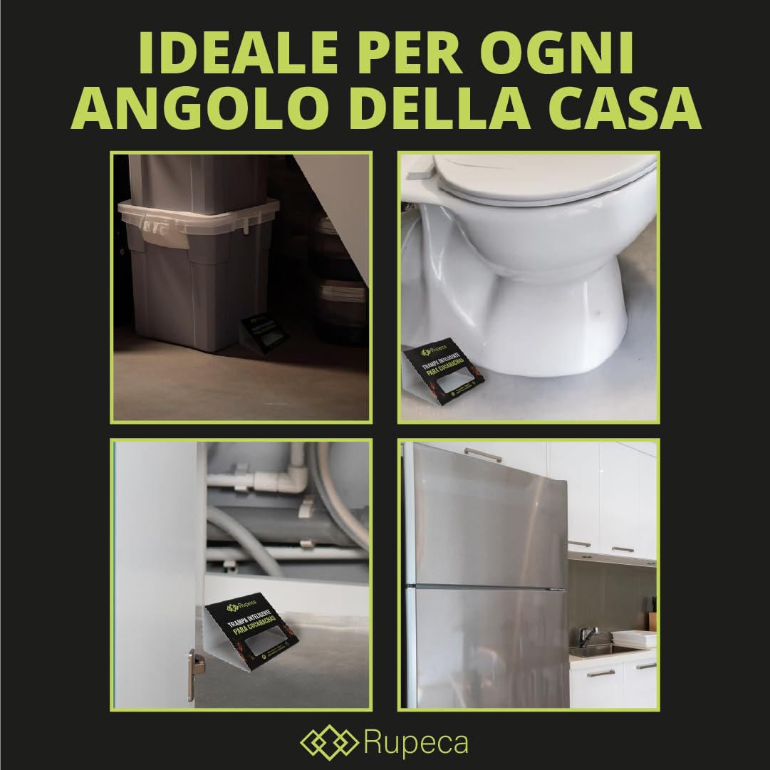 Trappole Scarafaggi Adesive 21 Pezzi Senza Tossici Trappola Blatte Interno Professionale Controllo Insetti Casa Cucina Bagno Sicuro Discreto Duraturo Alta Efficacia Senza Veleno Per Famiglia | RUPECA