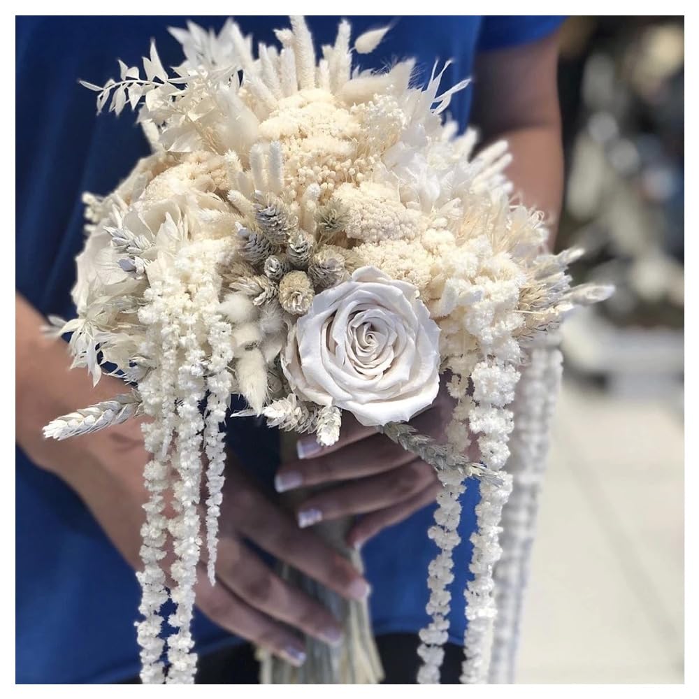 5Pcs Dried Preserved Amaranthus Hanging Flowers 35 Inches White Wisteria Vine Real Dried Flower for Wedding Bouquet Wall Decoration Home Decor