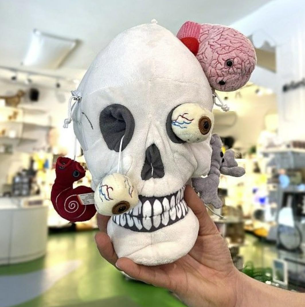  Amuseables Skull Planter ぬいぐるみ Amuseables Skull Planter - Official Jellycat