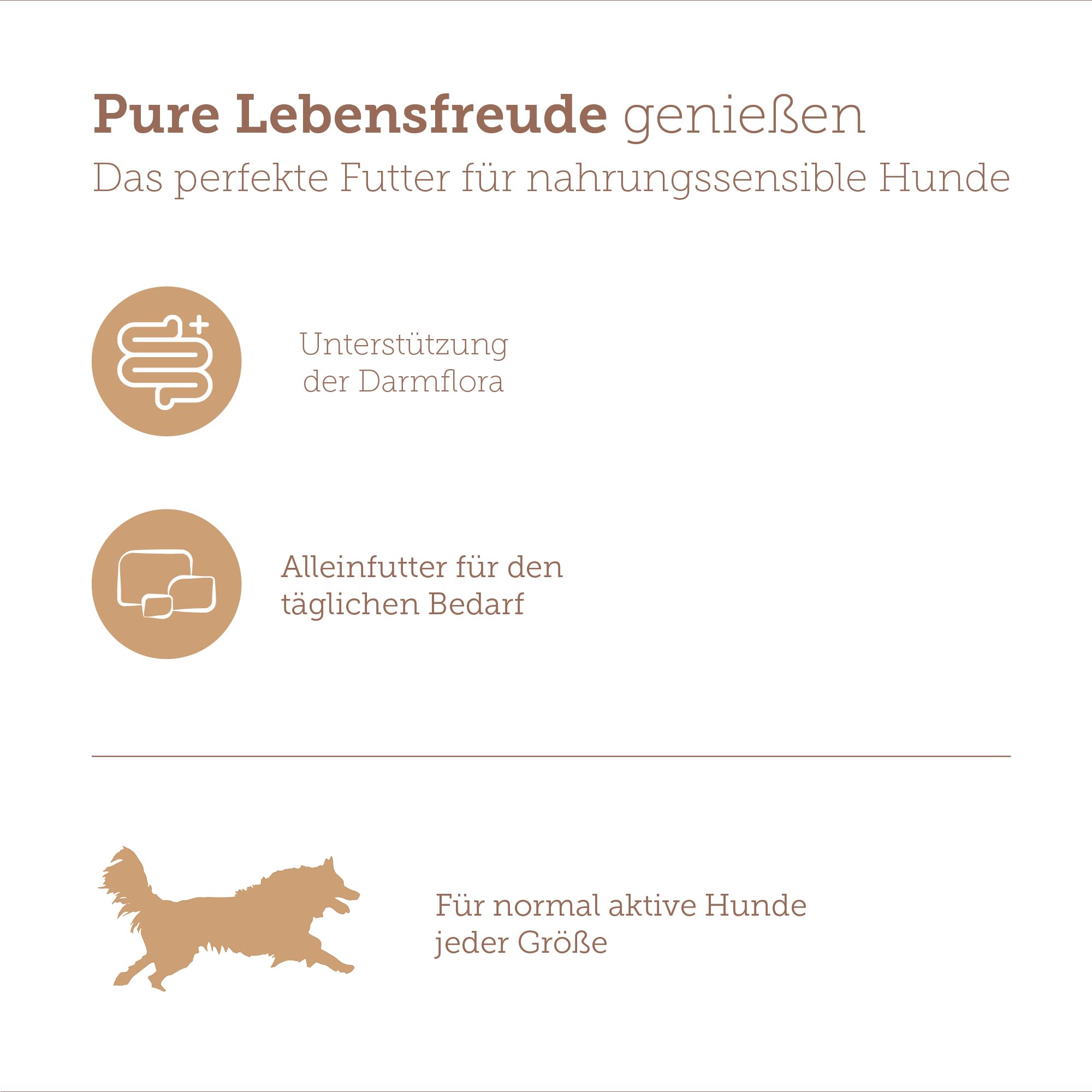 MERA Pure Sensitive Truthahn (6x400g), Hundefutter nass mit hohem Fleischanteil und getreidefrei, Nassfutter aus 100% tierischem Protein für Sensible Hunde, Single Protein (Packung mit 3)