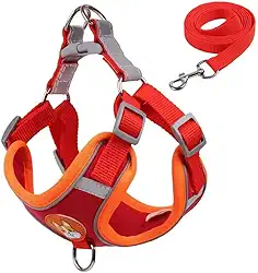 Coleira Peitoral para Cachorros e Gatos, Design Ergonômico, Faixa Reflexiva, Com Guia de Passeio (Vermelho, G)