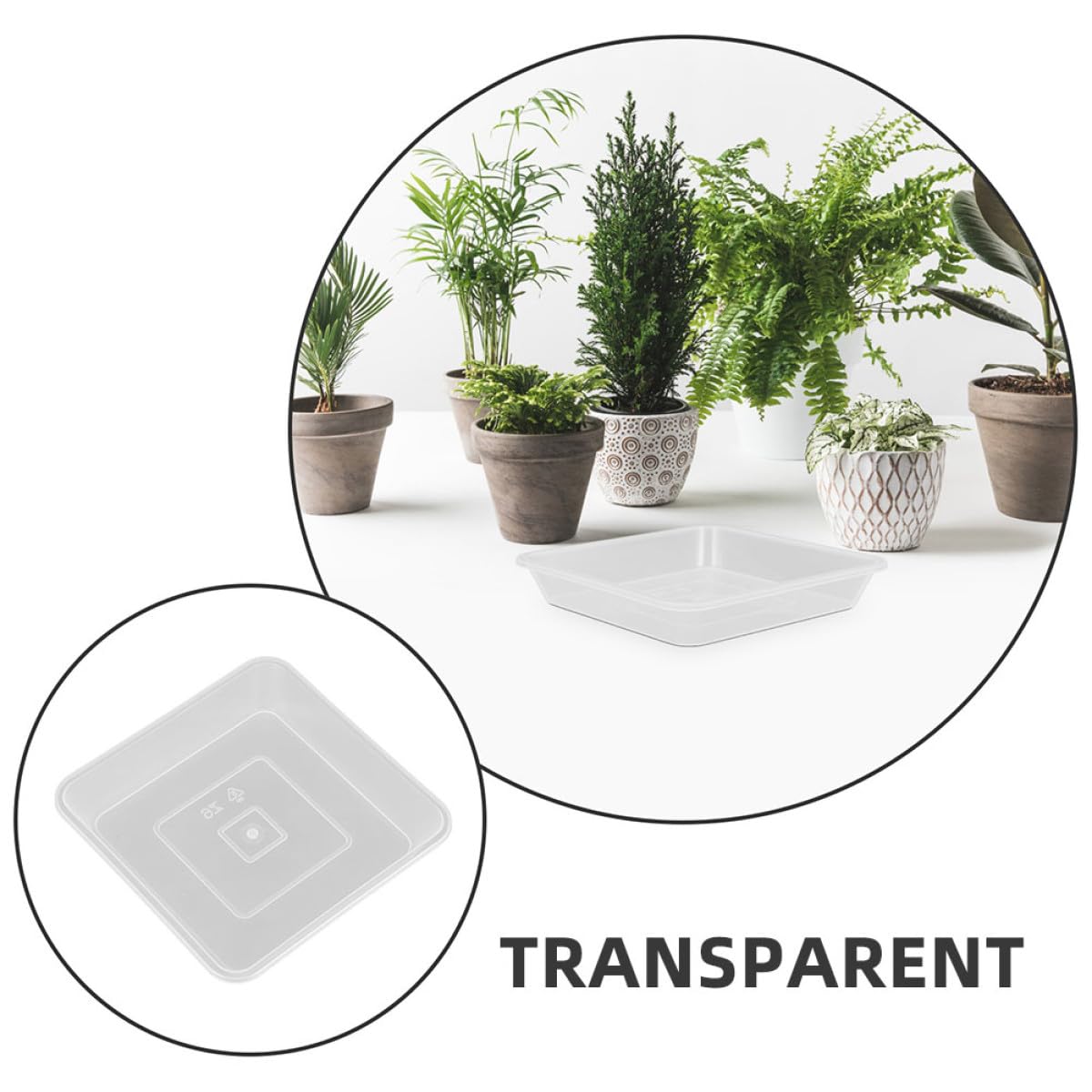 Alasum 8 Stück Dicke Quadratische Pflanzuntersetzer Transparent für Blumentöpfe Kunststoff Auffangschalen mit Verstärktem Boden Vielseitig Einsetzbare Tropfschalen für Garten