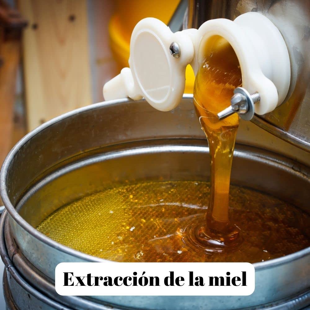 L'Abella Mel - Miel de tomillo 3kg - Miel natural recolectada en España