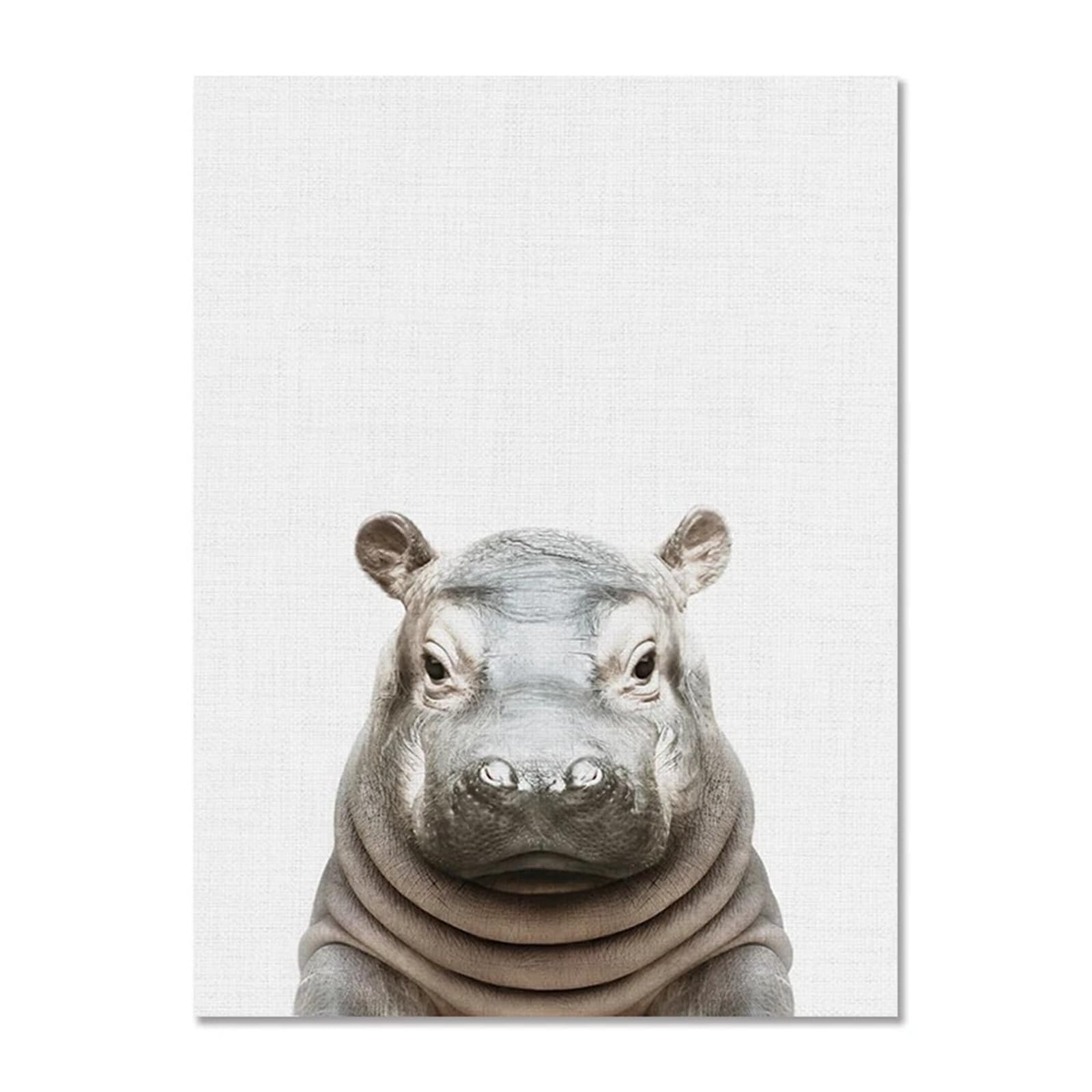 XENITE Wall Art Canvas Prints Canvas Painting Elephant Hippopotamus Giraffe Lion Animal Canvas Painting Decorative Pictures For Living Room Wall Decor(E,30x40cm)