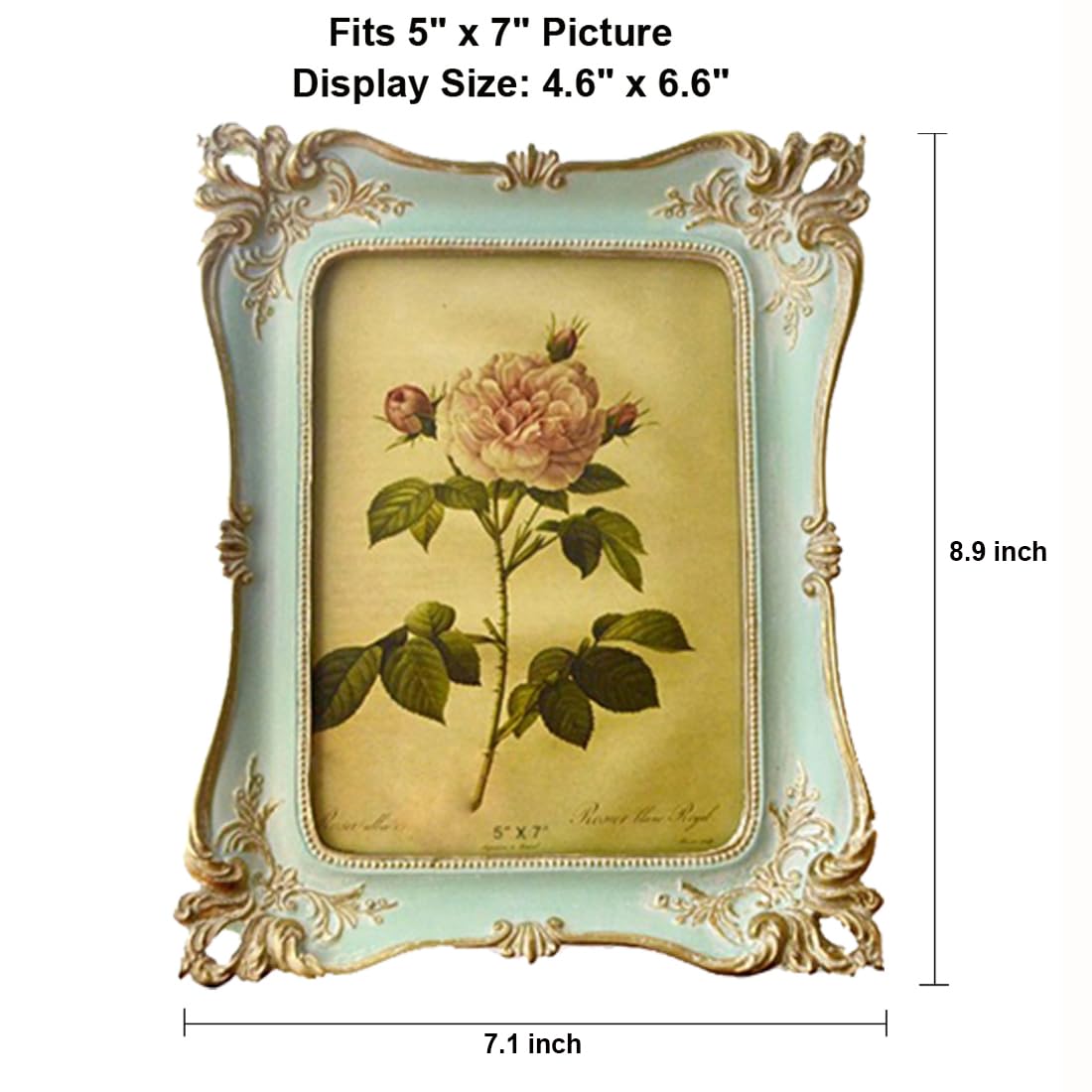 Amazon.com - CISOO 5x7 Vintage Picture Frame Antique Ornate Blue