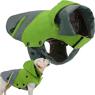 PETLOFT Hundewinterjacke, Reflektierende Hundewinterjacke Winddicht Warme Fleecejacke für Draußen mit Herausnehmbarem Fleecefutter (L, Grün)