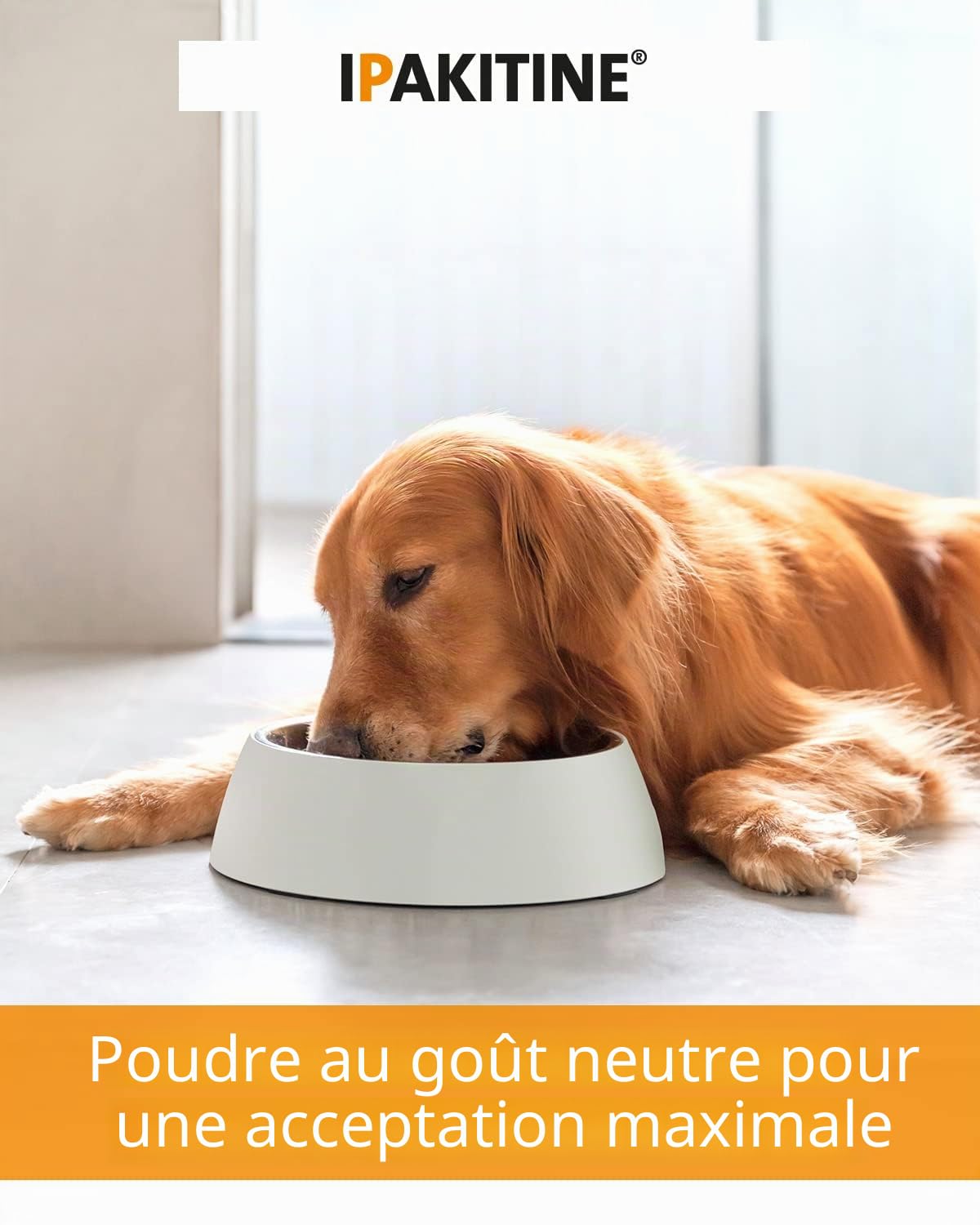 Ipakitine Vetoquinol en Poudre - 60 g
