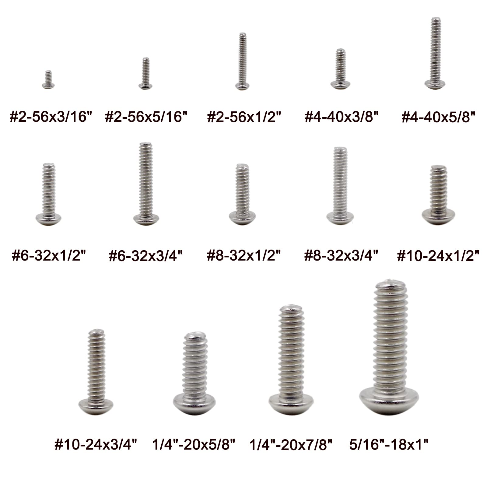 UNC #2-56 bis 5/16"-18 UNC Zylinderkopfschrauben und Muttern-Sortiment aus Edelstahl