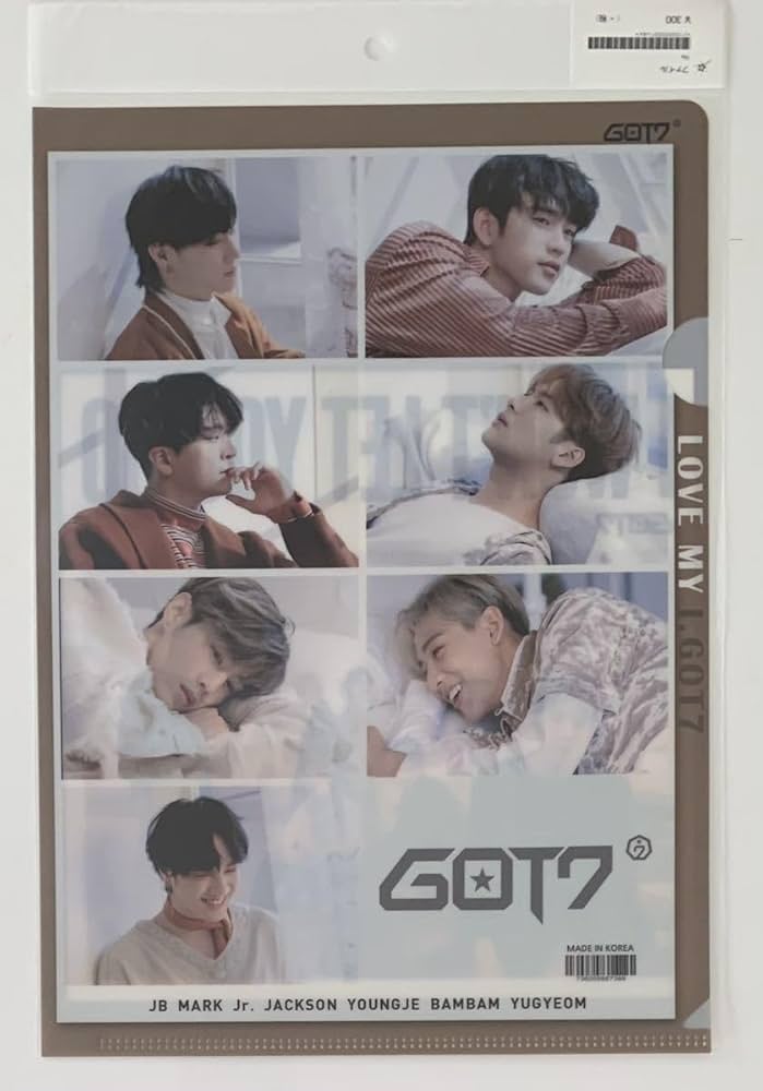 Amazon.co.jp: 韓国5アイドルのクリアファイル(ASTRO アストロ