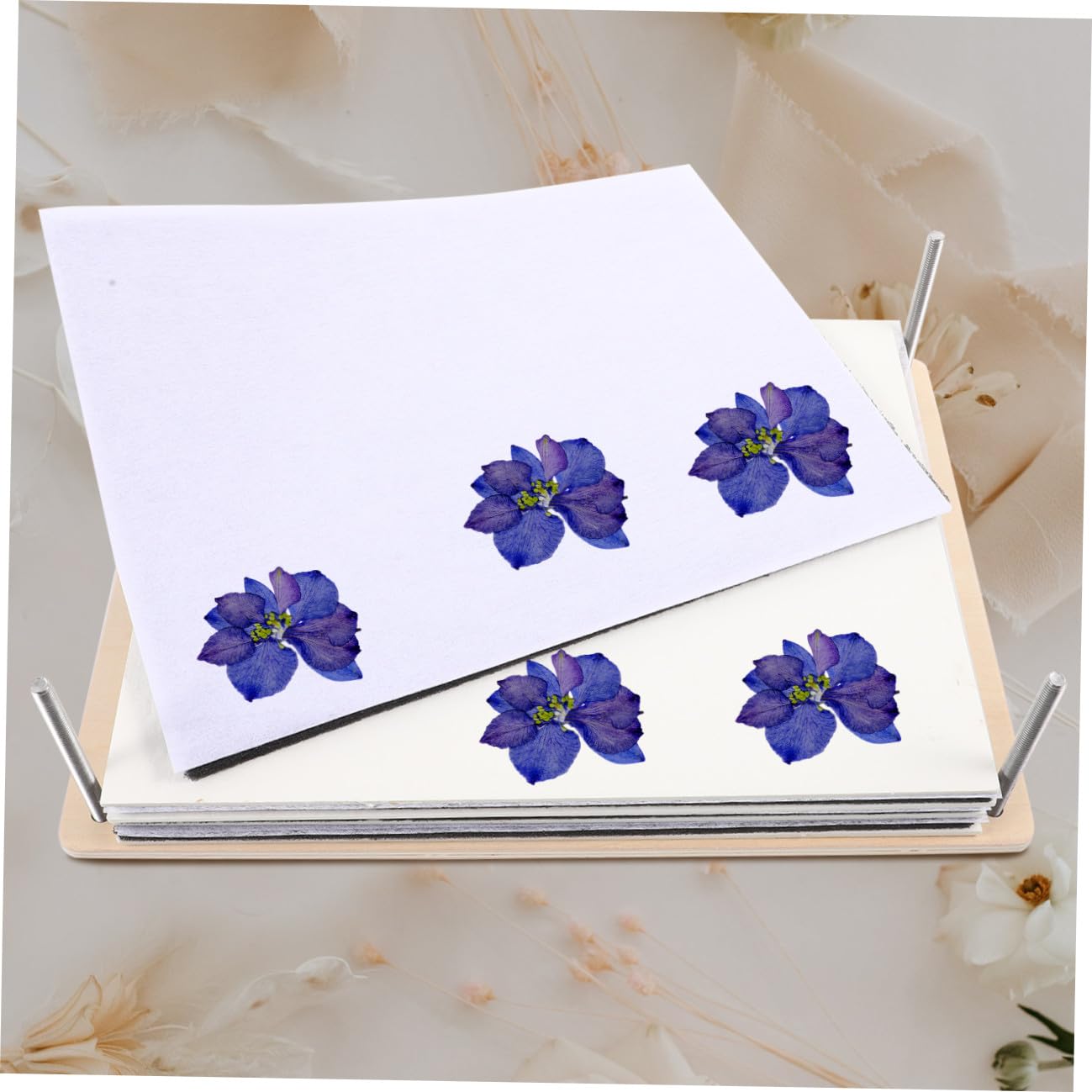 PRETYZOOM Kit de Prensa de Plantas y Flores Grande Profesional con Placas Reutilizables Herramientas DIY para Especímenes Manualidades y Decoración para Familia y Regalo Creativo