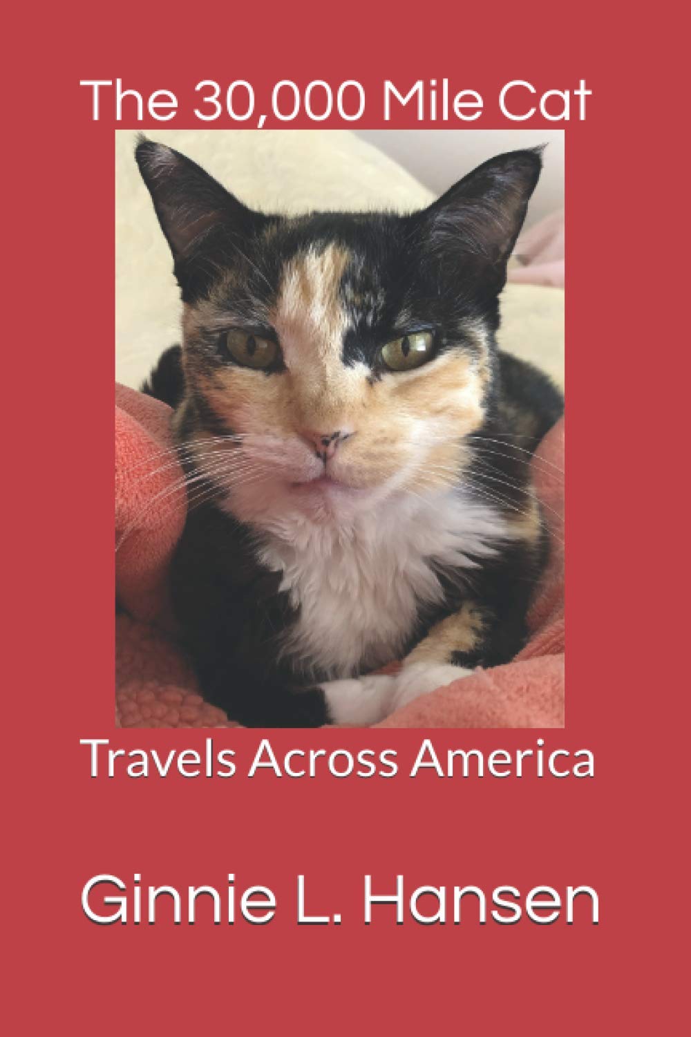The 30,000 Mile Cat: Travels Across America: 1