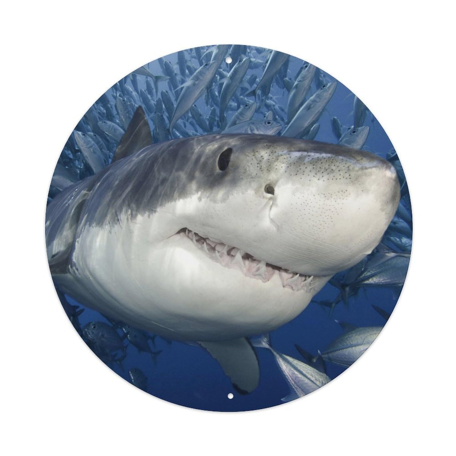 Great White Shark Marine Life Ocean Wildlife Metal Tin Sign