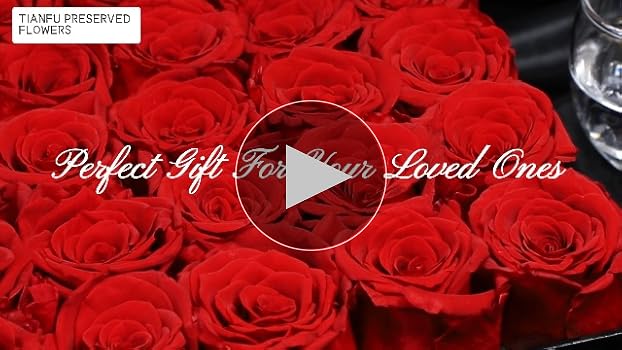 完売‼️ ALL ROSES LIVING PROOF Dash  完売‼️ ALL ROSES LIVING PROOF Dash Snow Amazon.co.jp: 完売