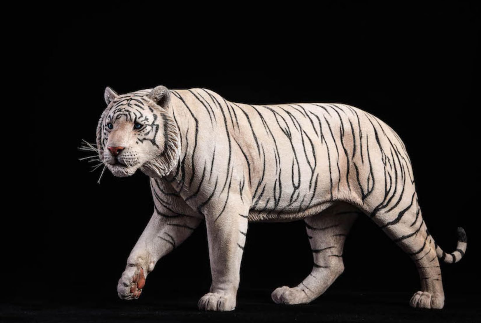 Amazon.co.jp: 1/6 サイズ ベンガルトラ 虎 リアル 大きい 野生