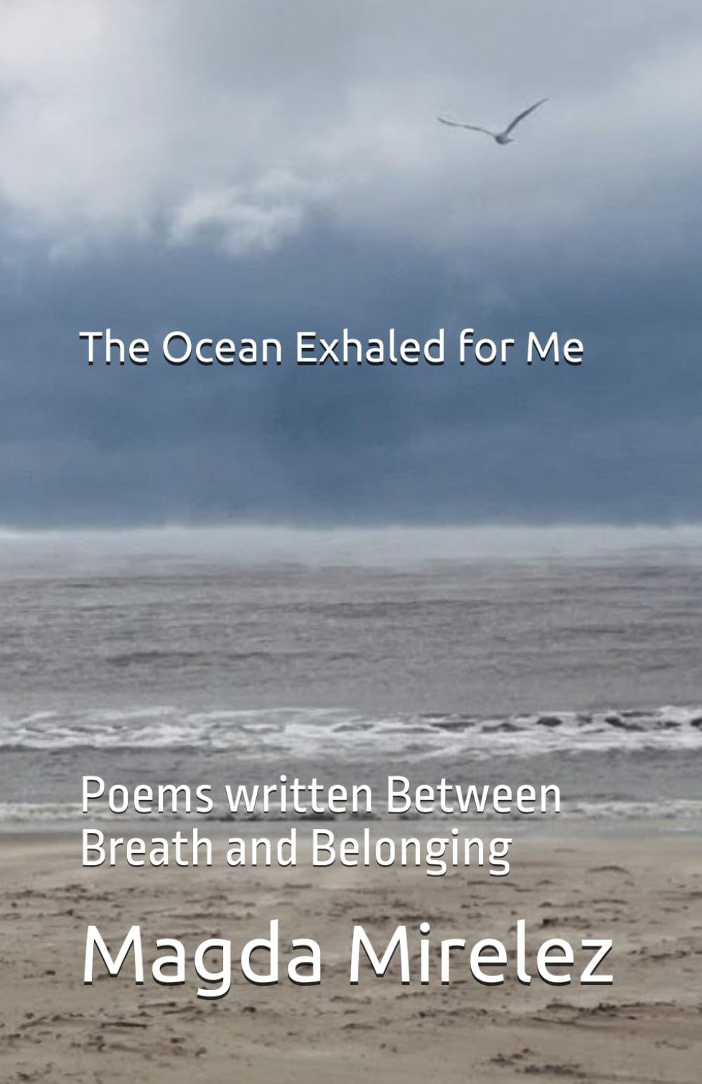 The Ocean Exhaled for Me: Poems written Between Breath and Belonging
