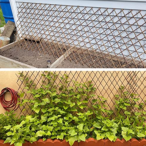 Joysfit Willow Trellis Fence Expandable Garden Climbing Lattices Trellis Plant For Support Climbing 36X92 Inch(4) #TOP4