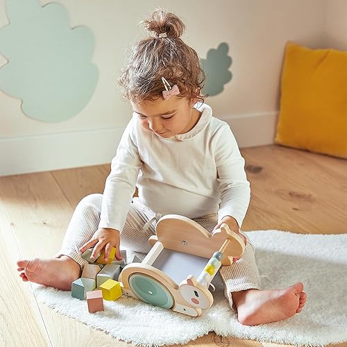 Janod Sweet Cocoon - Wooden Pull-Along Snail Cube Trolley - 17 Piece Set - Ages 18 Months - 3 Years - J03354