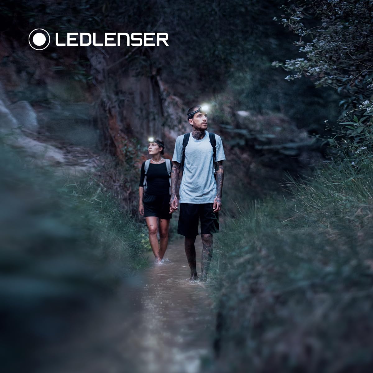 Ledlenser HF4R Signature Lampada Frontale Ricaricabile, 600lm, 140m, IP68 | Messa a fuoco regolabile, 7 modalità incl. RGB, 172g, lampada frontale impermeabile per caccia e pesca | 2023