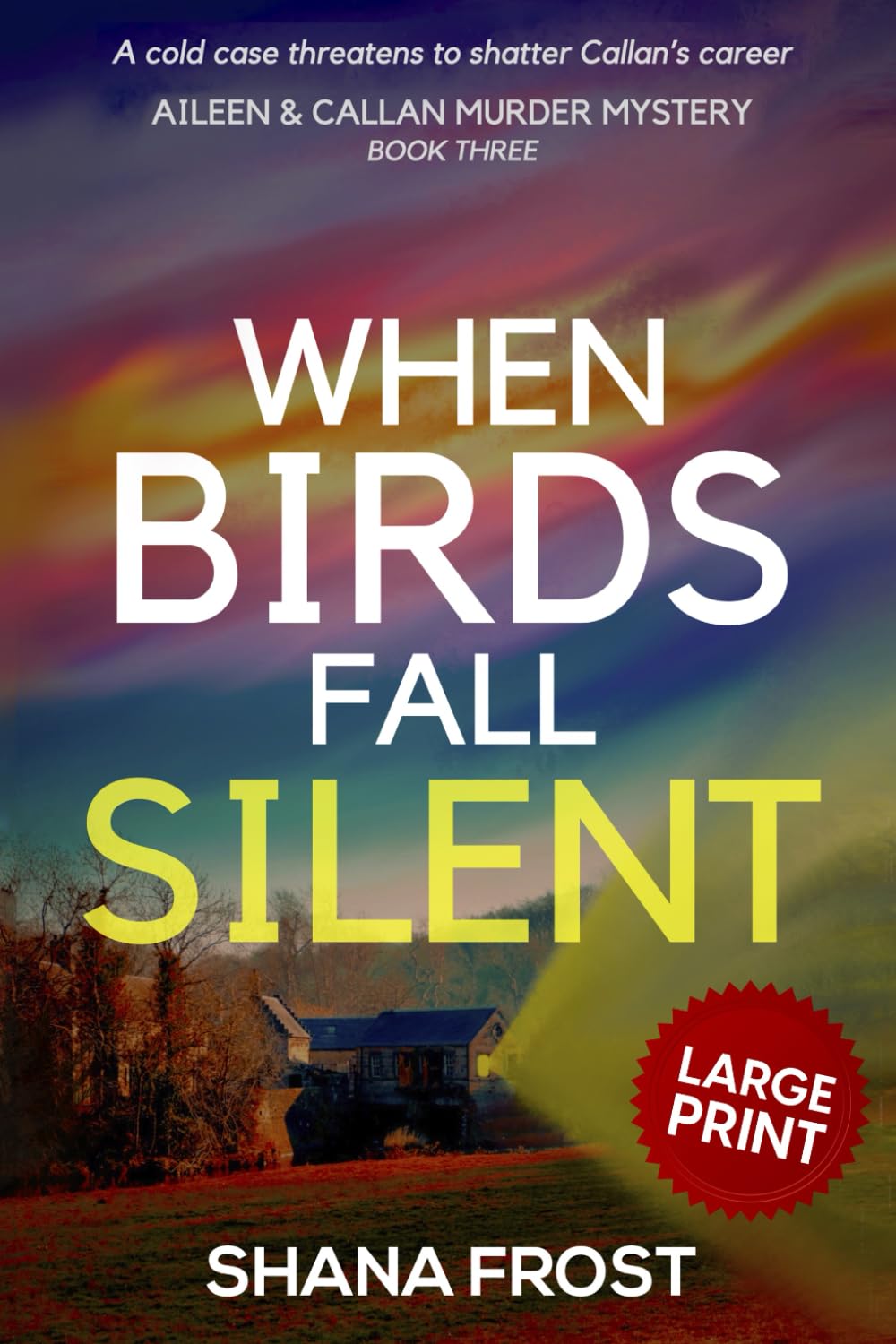 When Birds Fall Silent: A cold case threatens to shatter Callan's career: 3 (Aileen and Callan Murder Mysteries (Large Print))