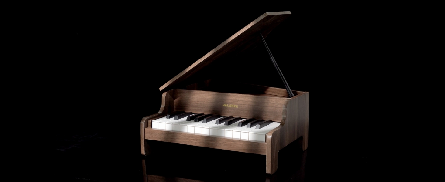 Amazon.com: JALOKEE Kids Piano Keyboard, 25 Keys Grand Piano for