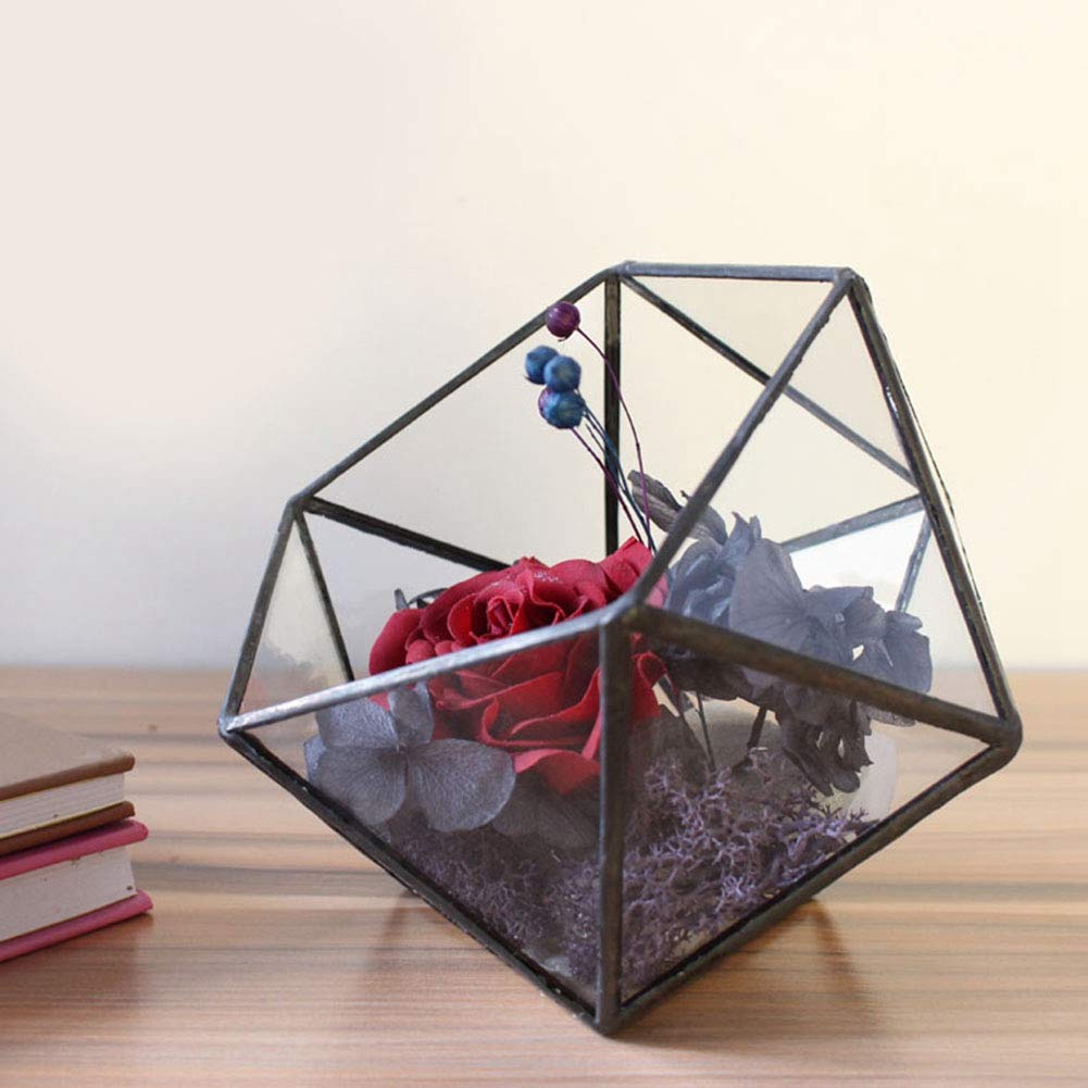 Glas Terrarium Geometrisch – 16 X 16 X 15 Cm, Mit Kupfer-Akzent, Für Sukkulenten Oder Deko